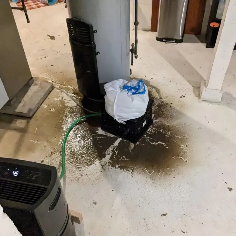 Sewage Backup Cleanup Service in Kissee Mills, MO